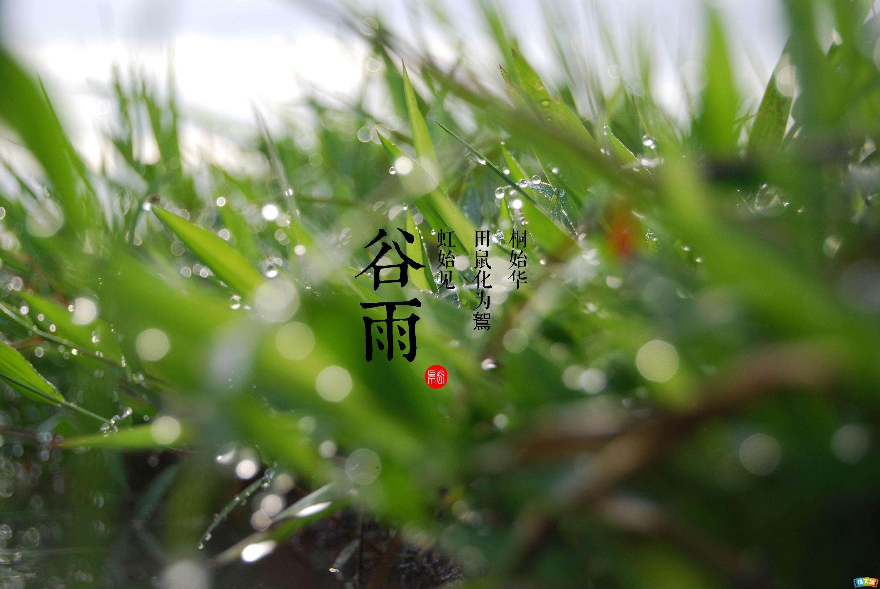 谷雨(yǔ)AA.jpg