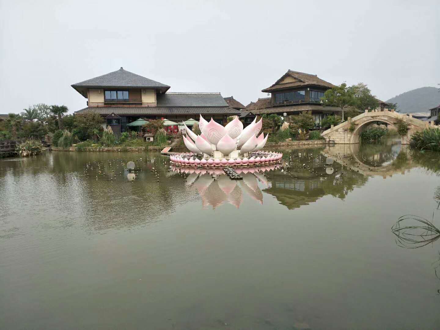 微信圖片_20171025135618.jpg